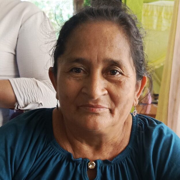 NEGOCIO LAS DELICIAS VICKY