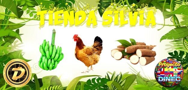 Tienda Silvia