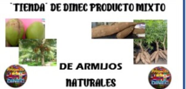 NEGOCIO DE PRODUCTOS MIXTOS