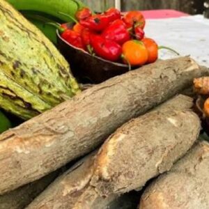 Venta de yuca