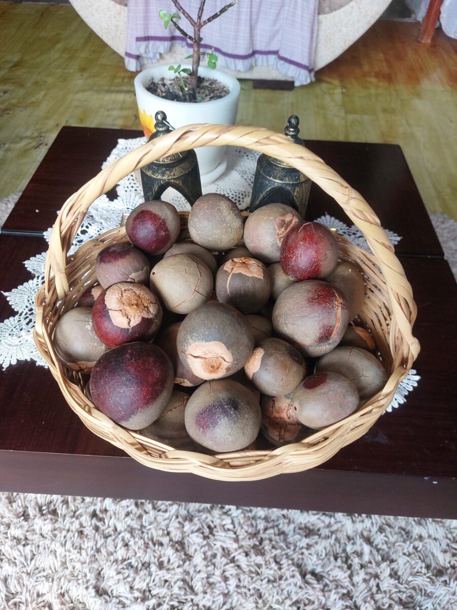 70 PEPAS DE AGUACATES