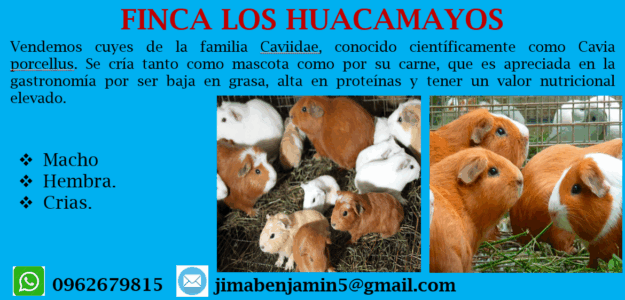 Finca los Huacamayos