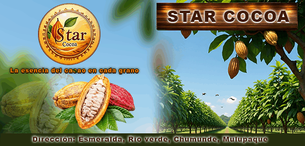 Star Cocoa