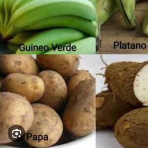VENTA DE PRODUCTOS ORGANICOS