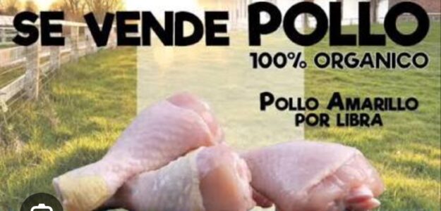 Tienda de pollo