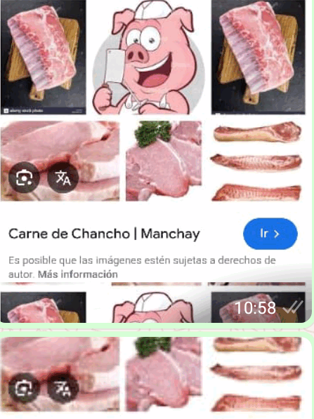 Tienda de cárnicos Rosa
