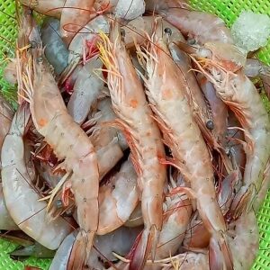 Mariscos