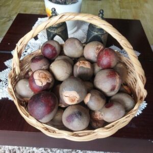 Pepas de Aguacate