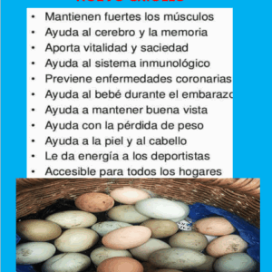Huevo Criollo