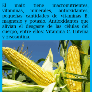 Maíz