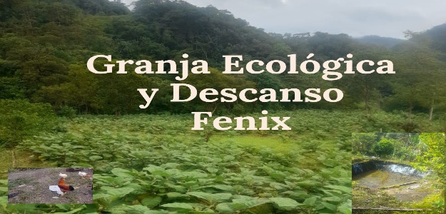 Granja Ecológica y Descanso Fenix
