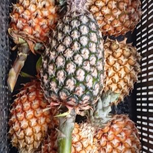 Piñas