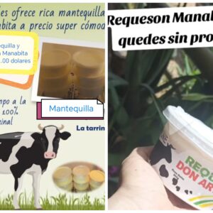 Rico requeson manaba
