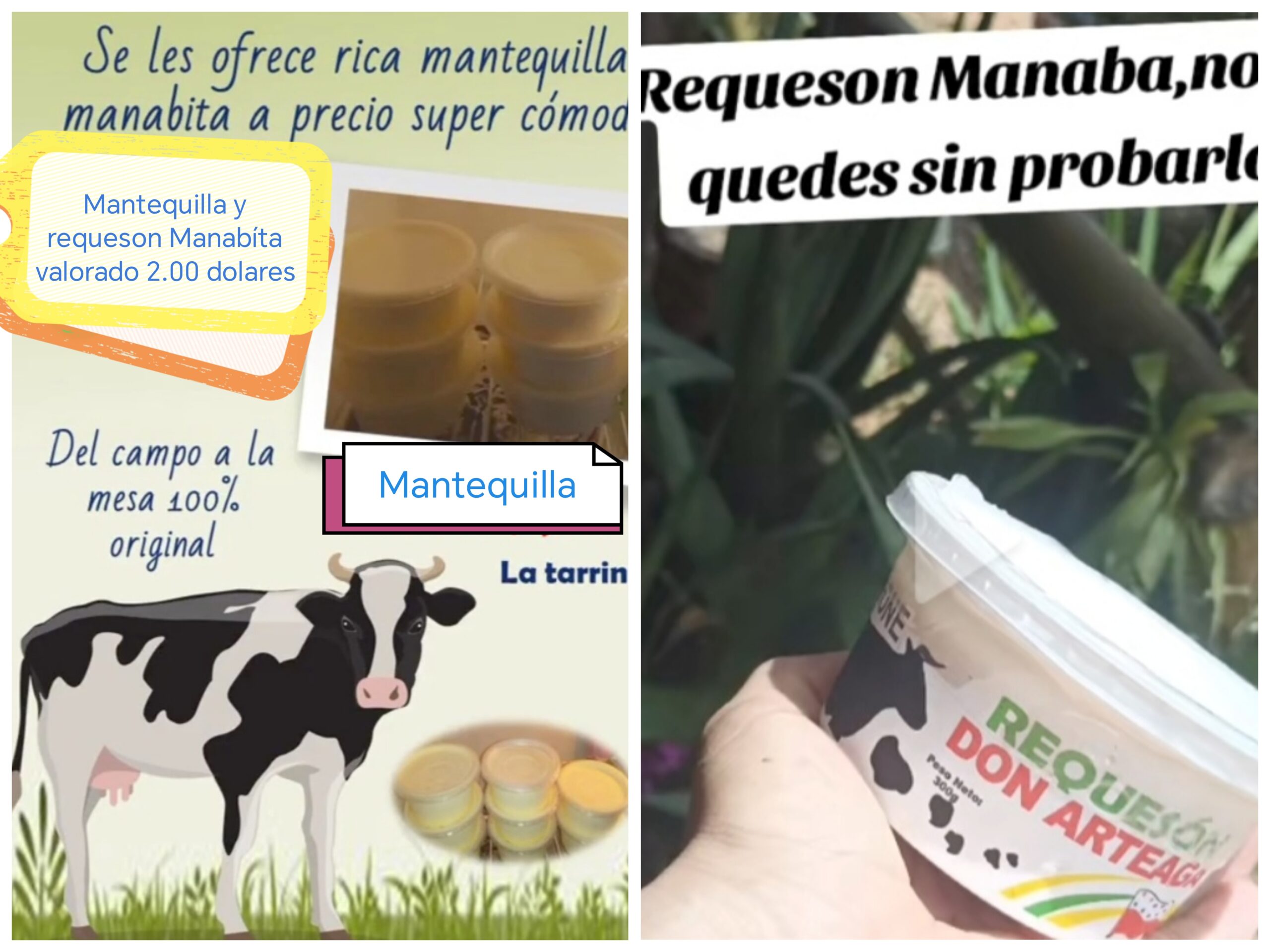 Rico requeson manaba