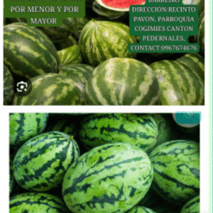 Sandías