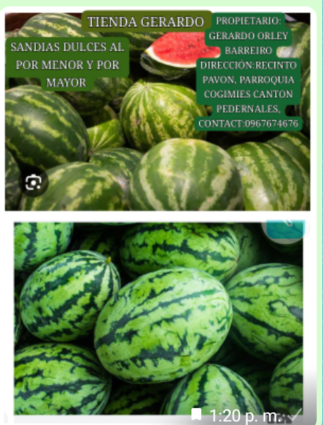 TIENDA GERARDO