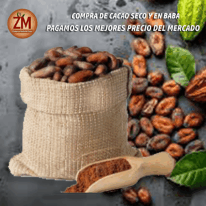 Cacao Seco y En Baba