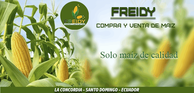 Compra y venta de maiz Freidy