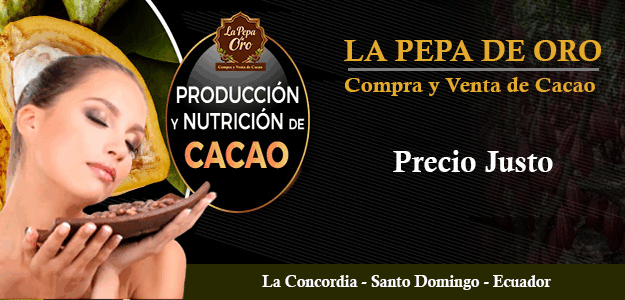 Compra y venta de cacao Jesús