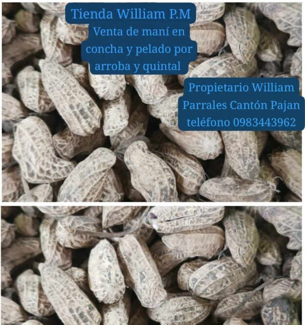 Mani en concha y pelado
