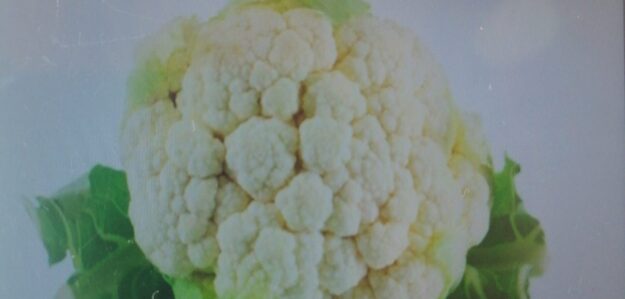 Productos Agrícolas