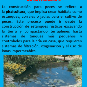 Asesoramiento Construcción