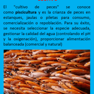 Asesoramiento Cultivo