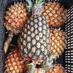 Piñas