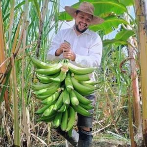 Productos agrícolas