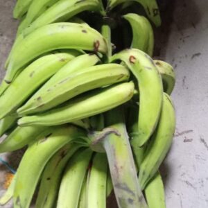 Plátano dominico