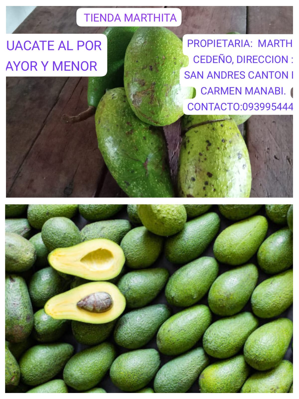 AGUACATES DE CEDA