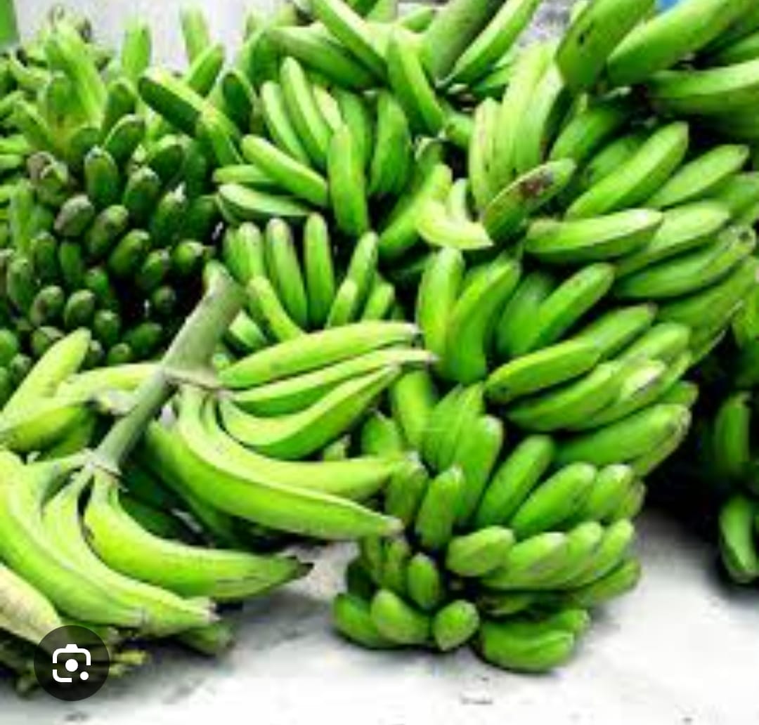 RACIMA DE PLÁTANO