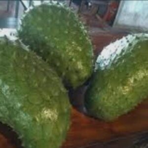 Guanabana