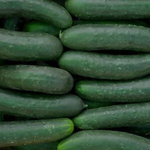 Pepinos