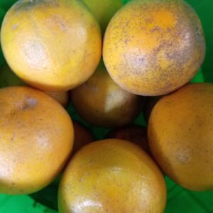 Naranjas dulces orgánicas