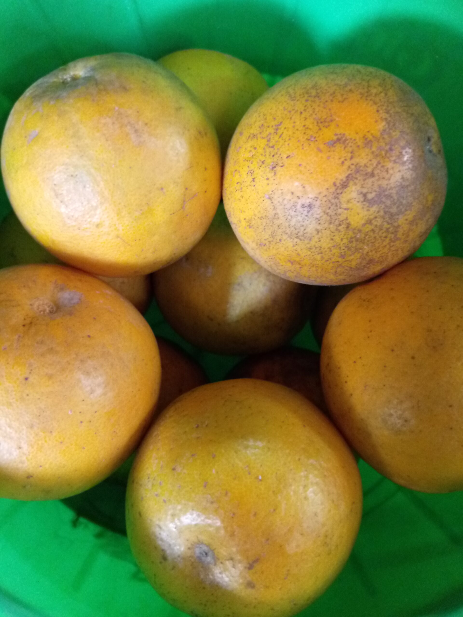 Naranjas dulces orgánicas
