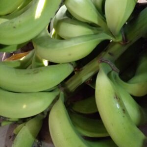 Plátano verde