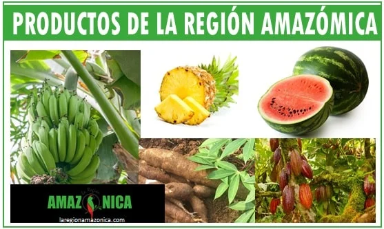 Tienda de producto agricola cesar