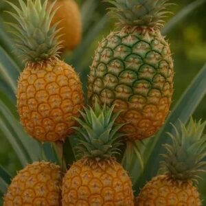 Piñas