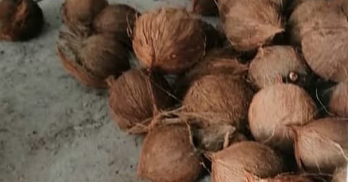 Venta de cocos