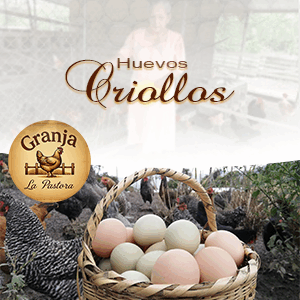 Huevos