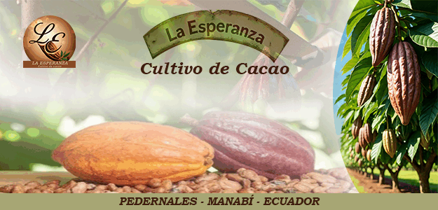 La Esperanza Compra y Venta de Cacao