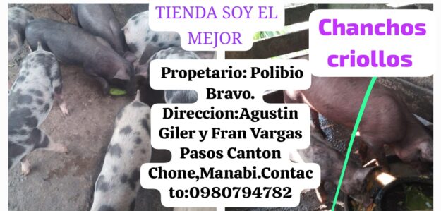 TIENDA SOY EL MEJOR