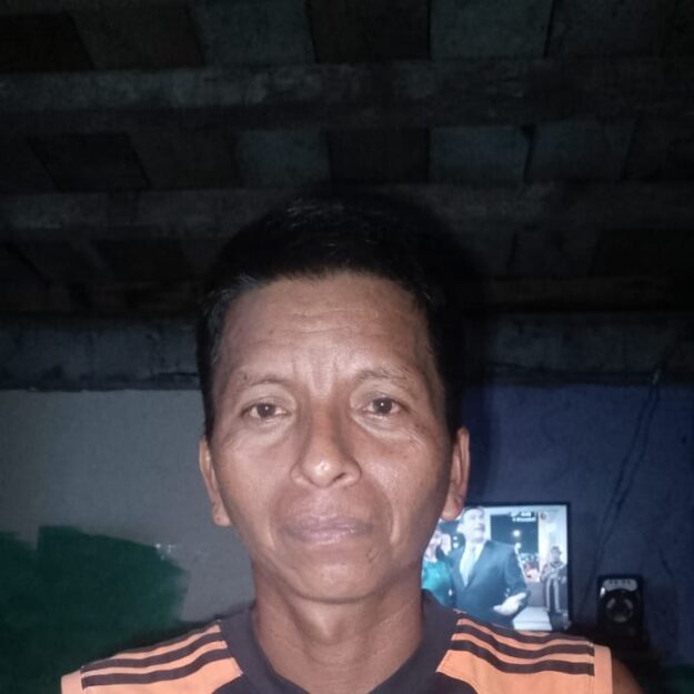 venta de chanchos