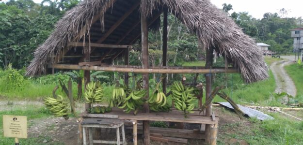 Productos de la Amazonia