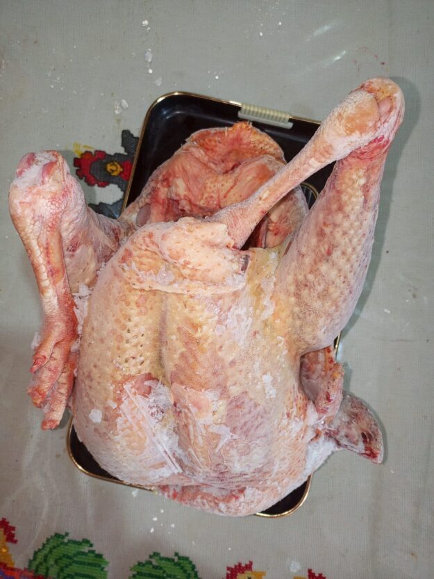 Pavo
