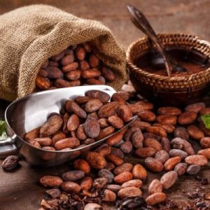 Cacao por quintales