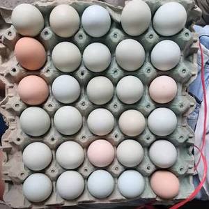 Huevos criollos