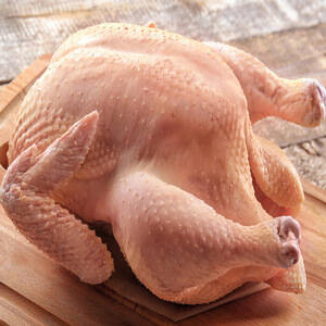 Pavo