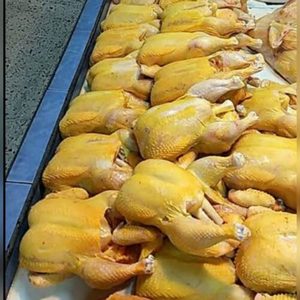 Pollos del campo Jalexa